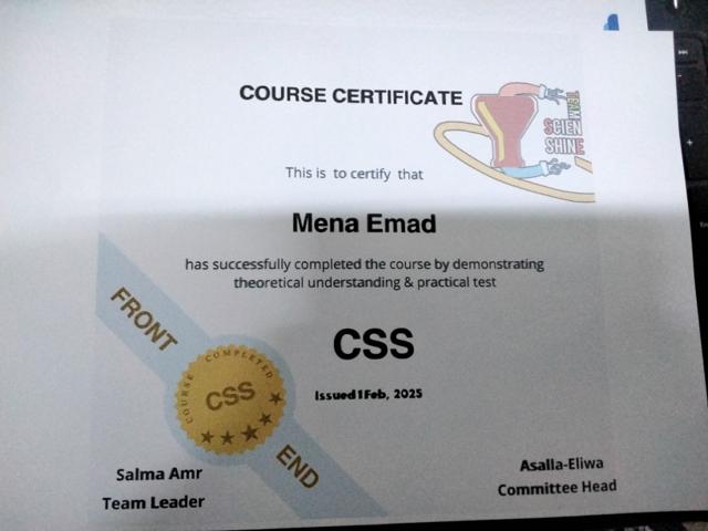 CSS Certificate Mena emad Sawares